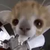 Avery & faye - @faye.avery.12433 - TikTok