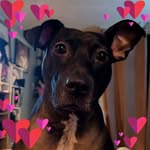 Avery Feistygal - @averyfeistygal - Instagram