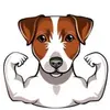 AveryFeistyGal - @averyfeistygal - TikTok