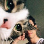avery 🔗 - @averyfinefellow - Instagram