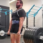 Robert Maes - @averyfinedonkey - Instagram