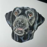 Thom Avery Fine Art - @tcavery_art - Instagram