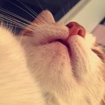 Avery Finn - @avery_finn21 - Instagram