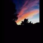 Avery Fleming - @lil_lis98 - Instagram