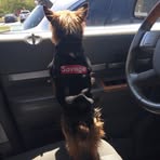 Avery Fletcher - Facebook