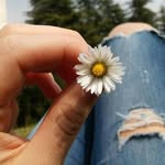 Avery☔🌹 - @avery.flowers_ - Instagram