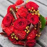 Ali Albuhamed - @avery_bodys_friends - Instagram