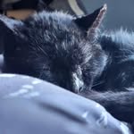 Avery Fry - @im_a_zomble - Instagram