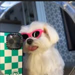 Avery Gallagher - @avery65228 - Instagram