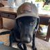Avery Garrett - Facebook
