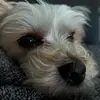 Avery - @its.averygee - TikTok