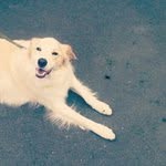 Avery Gerard - @averygerard - Instagram