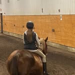 @avery.gibbonshorses - Instagram