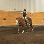 Avery Gibbons - @horsebackrider654 - Instagram