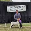 Avery Gilchrist - @averygilchrist - TikTok