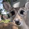 🦌🤠Avery🦆🤠 - @avery.gill11 - TikTok