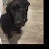 averyglover27 - @averyglover27 - TikTok