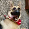 averygoetz693 - @averygoetz693 - TikTok