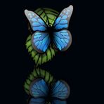 Avery Griggs - Facebook