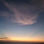 Averygriggs - @averygriggs2010 - Instagram