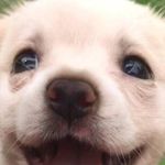 Avery Hagerbaumer - @averyhagerbaumer - Instagram