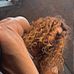 Avery Hamilton - Facebook