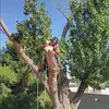 Avery Hamilton - @avery.hamilton3 - TikTok