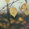 AveryHammond - @averyhammond12 - TikTok