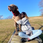Avery - @averyhamrick - Instagram