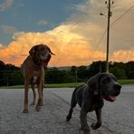 Avery Hamrick - Facebook