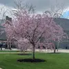Avery_Hannahspamz - @avery_hannahspamz - TikTok