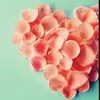 averyhanna - @averyhanna - TikTok