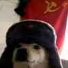 Avery Harvey - @user28050234561148 - TikTok