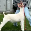 Avery Hawkins - @avery.hawkins0 - TikTok