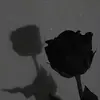 averyhawthorne_17 - @averyhawthorne_17 - TikTok
