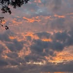 Sharon Avery Darden Hawthorne - @hawthorne_sl - Instagram