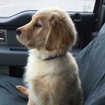 avery helmick - @avery.helmick - Instagram