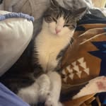 Avery - @avery_helton11 - Instagram
