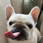Avery Hendrick - @averyhendr.ck - Instagram