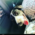 Avery - @averyhendrickson_2 - Instagram