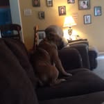 Avery Hendrix - @avery_fh0622 - Instagram