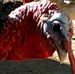 Avery Hensley - Facebook