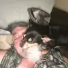 averyhenson69 - @averyhenson69 - TikTok