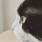 Avery Hester - @aver_y1104 - Instagram