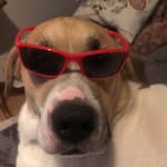 averyhester - @averyhester - Instagram
