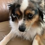 Avery Hicks - @averyhicks225 - Instagram