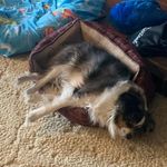 Avery Hicks - @avery.hicks.3954546 - Instagram
