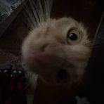 Avery Higgins - Facebook