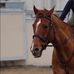 Avery Hildebrand - Facebook