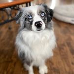 Avery Hines - @averyh00 - Instagram